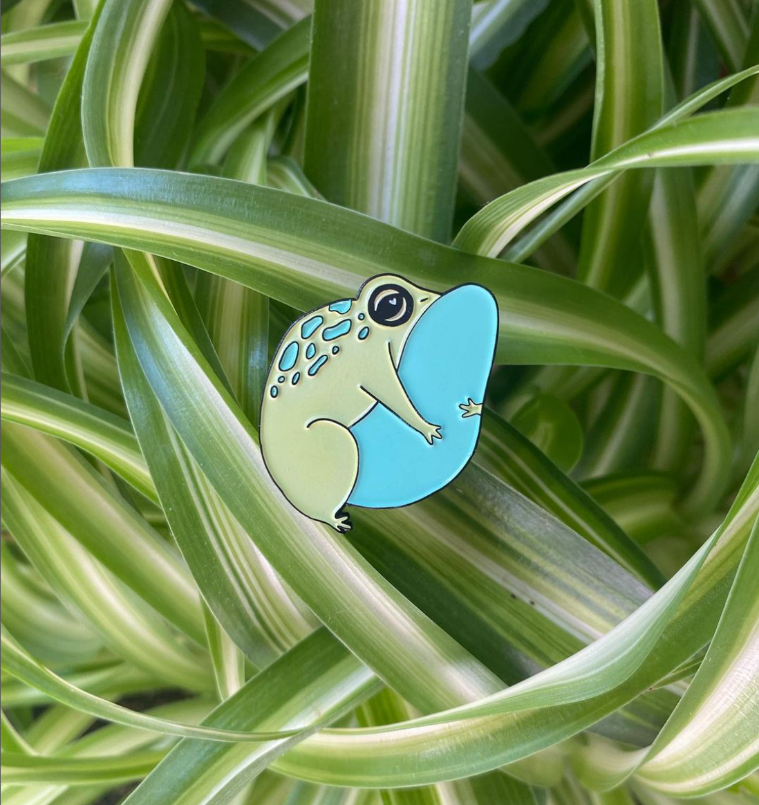 Love Toad Pin